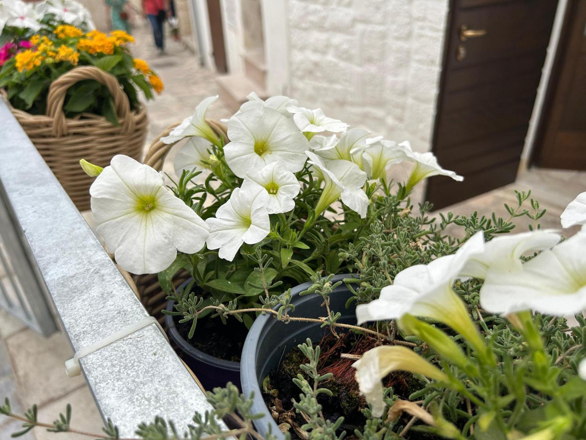 Trame Poesia Di Mare 2 Bed & Breakfast Polignano a Mare Ngoại thất bức ảnh